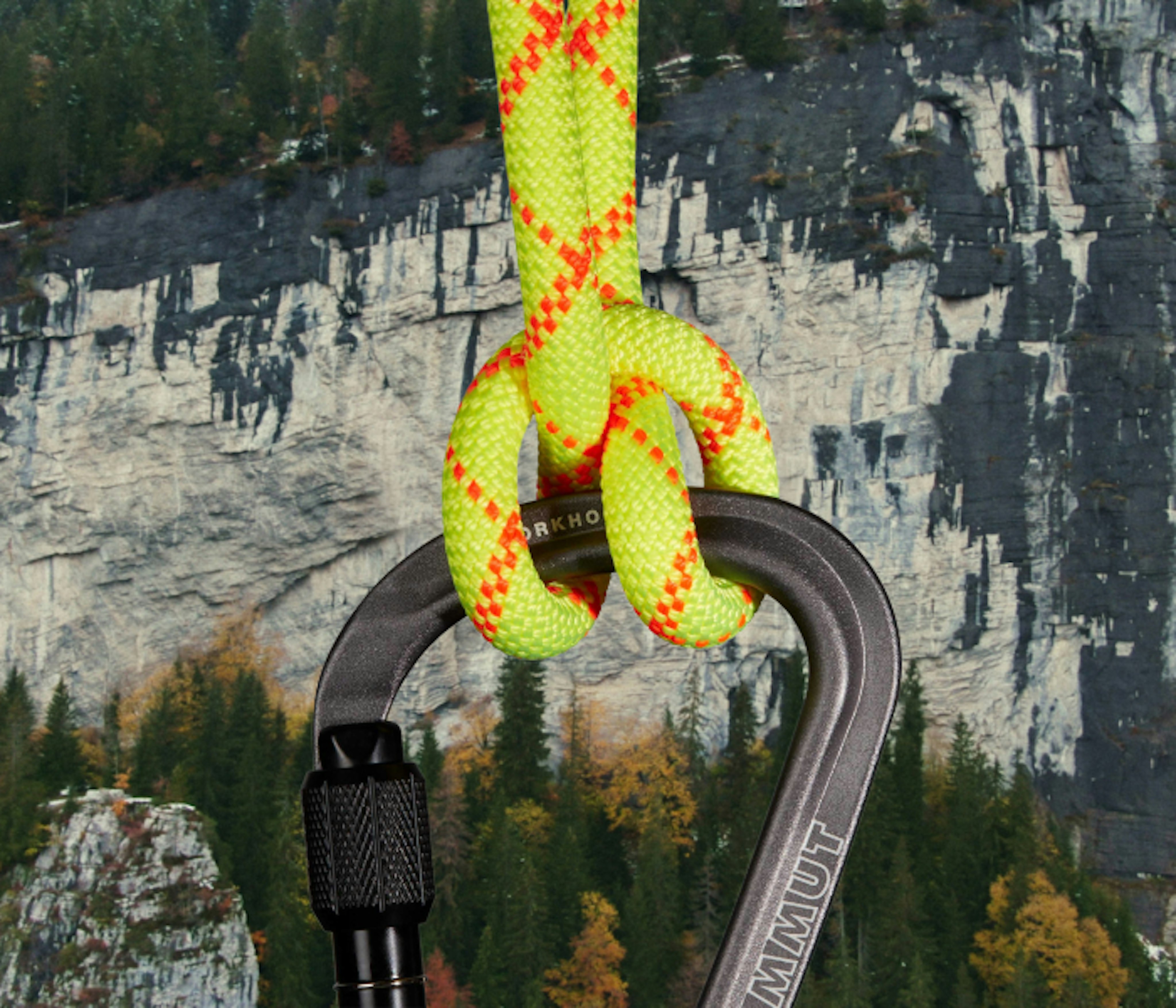 Core Protect Rope_image carabiner