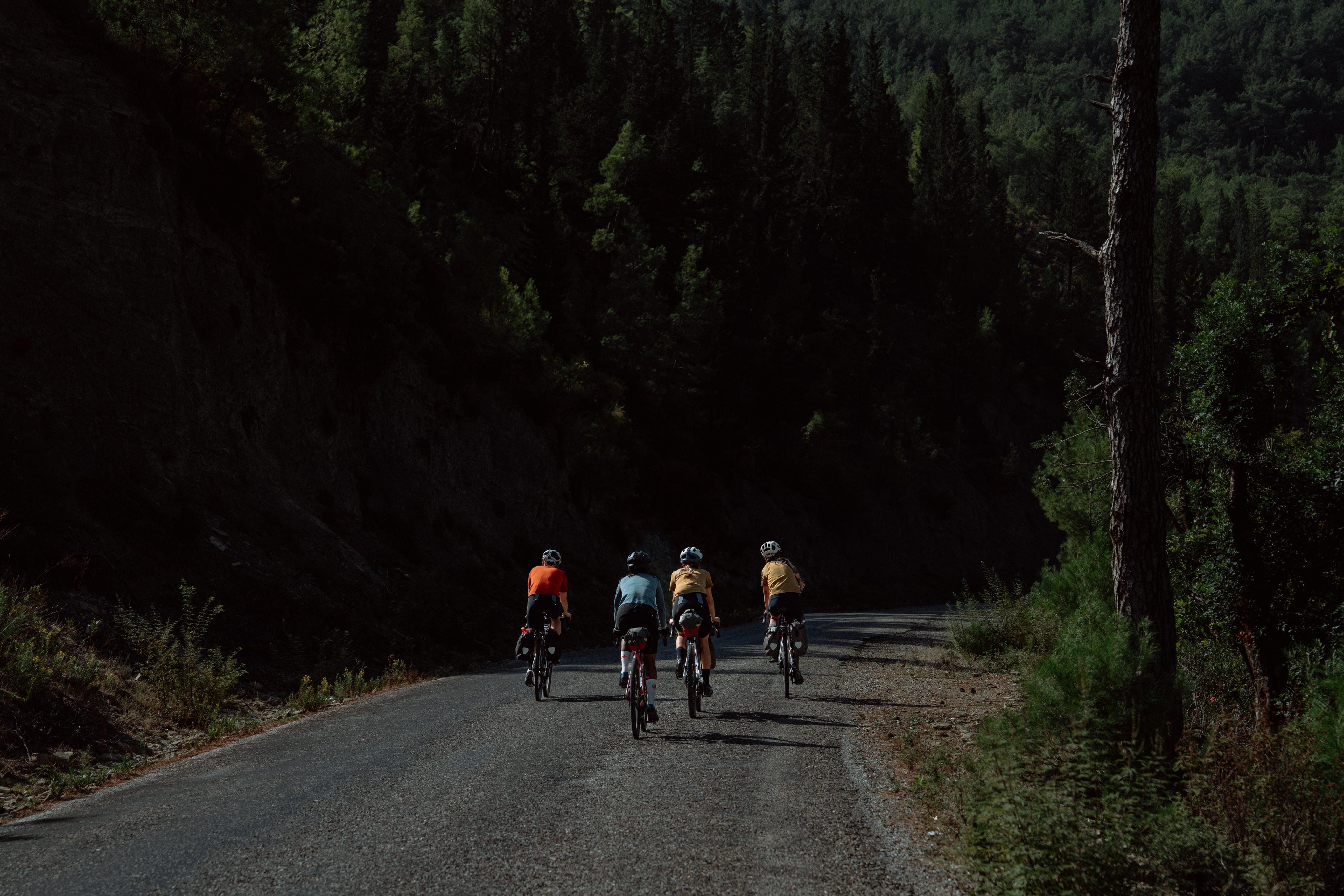 Four Mammut-clad cyclists ride on a narrow, tree-lined road under dappled sunlight, showcasing outdoor sports gear.