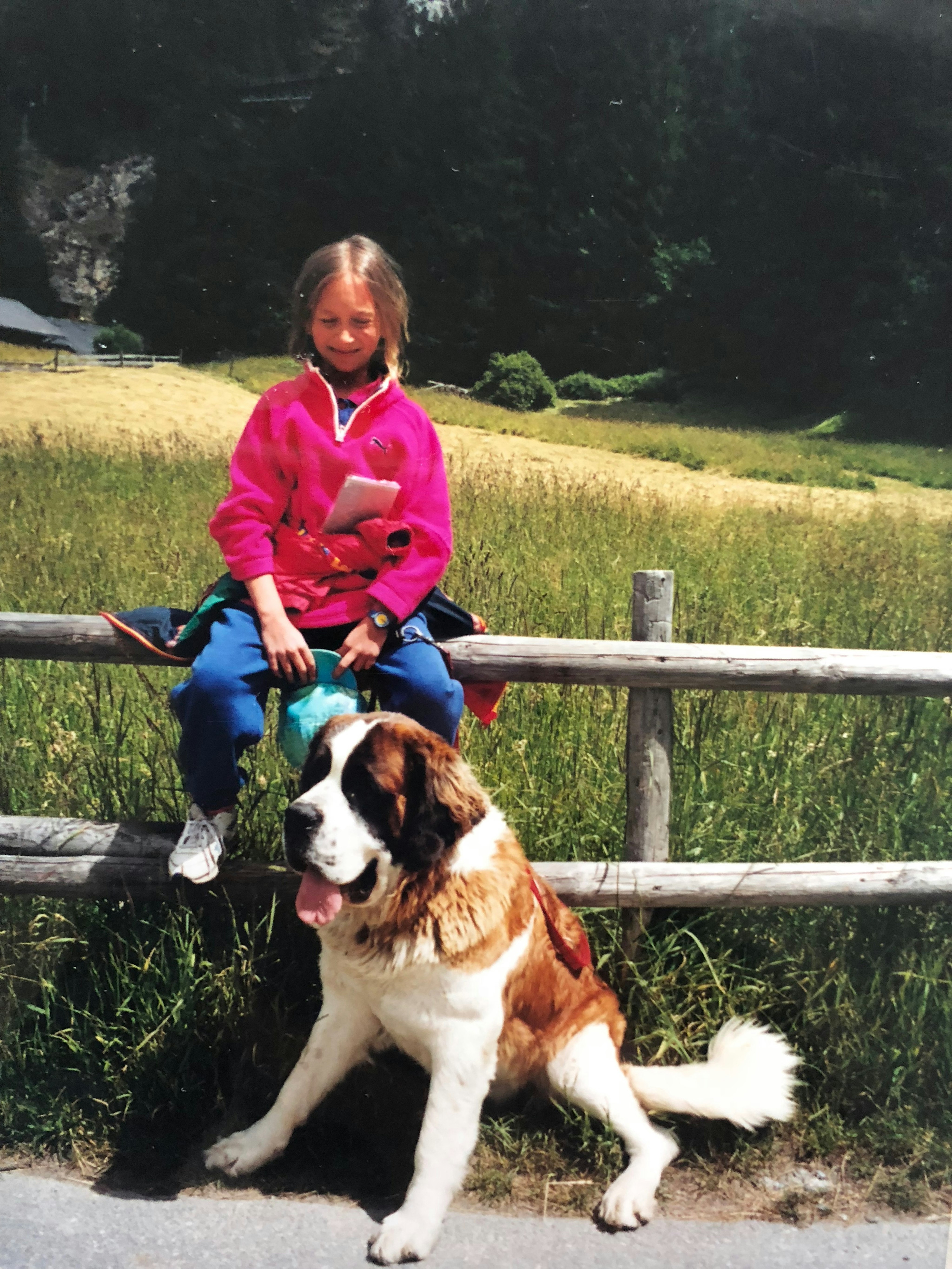 Small child sits on a fence, in front of her sits a big dog.
