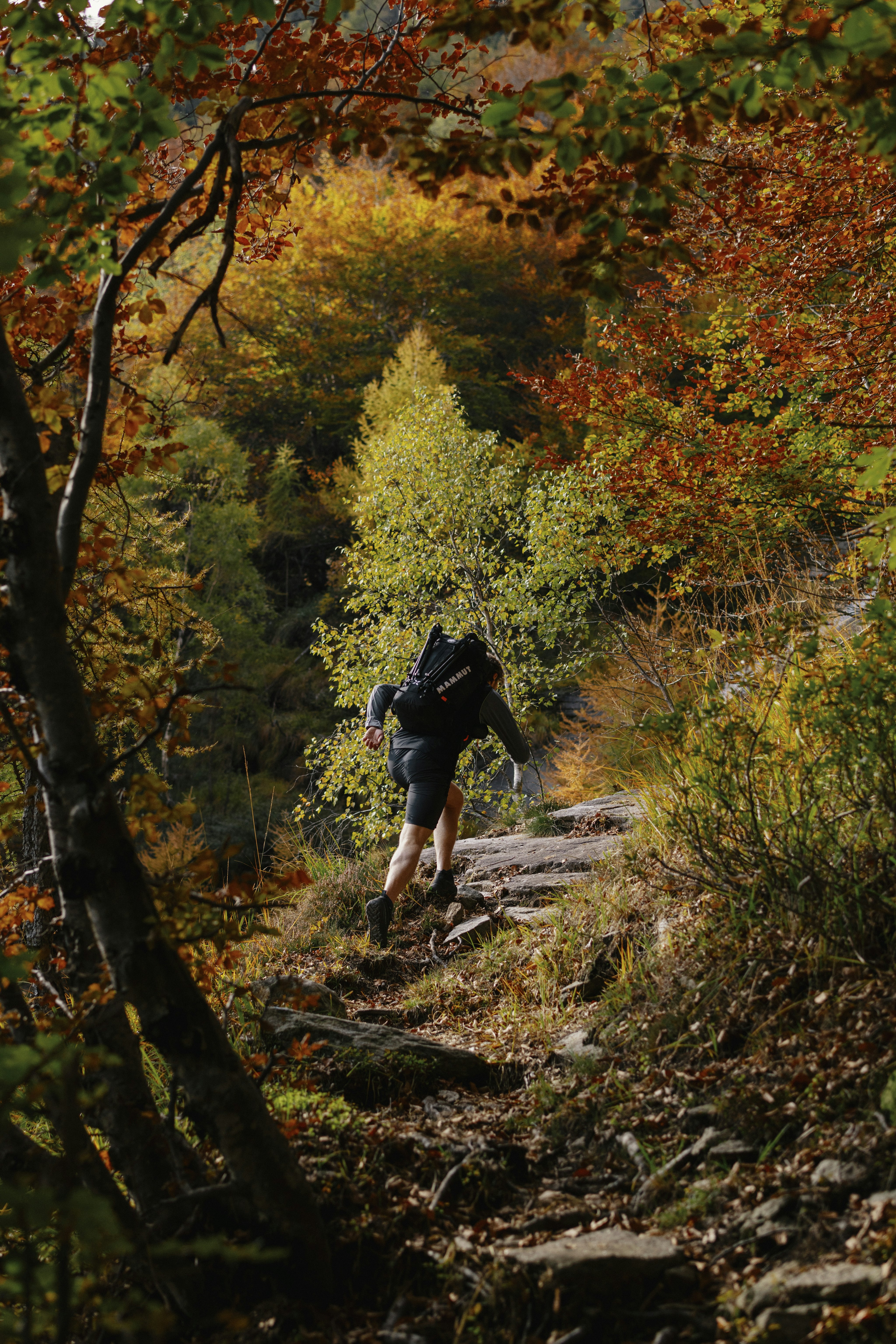 Man walking in the mountains in a forest