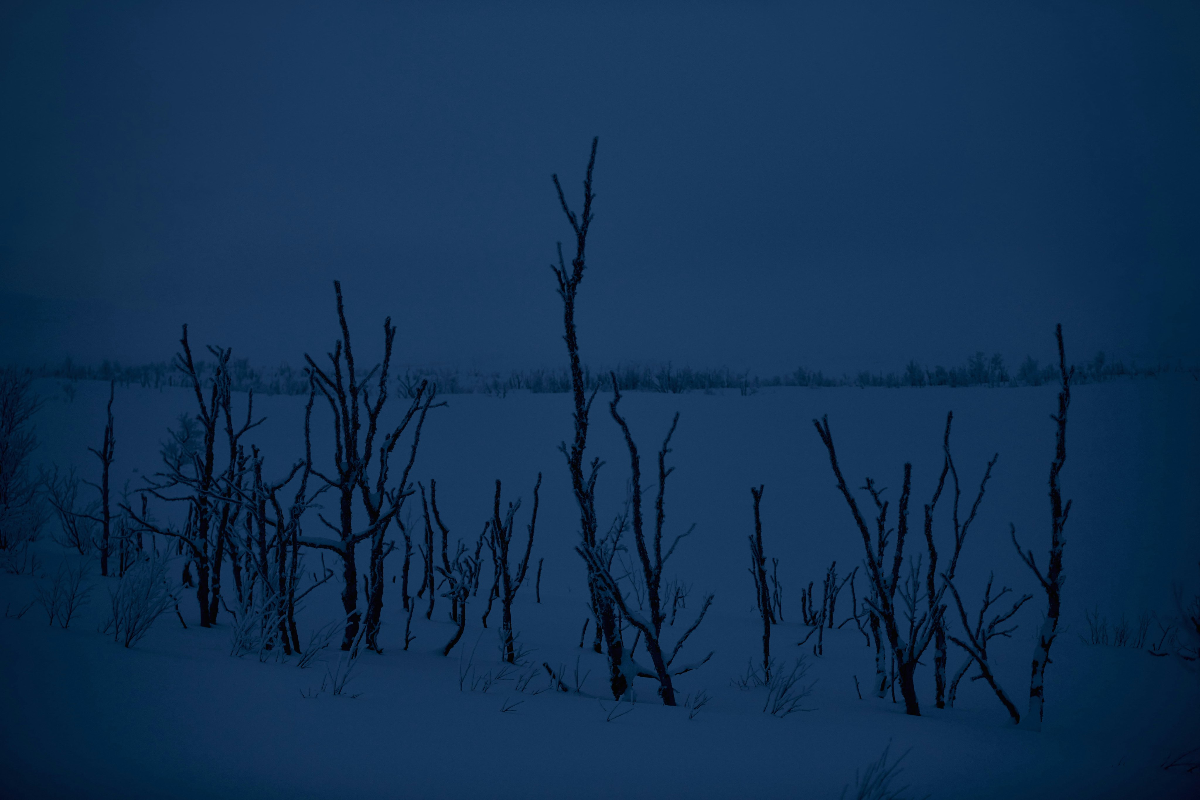 Winter in dark