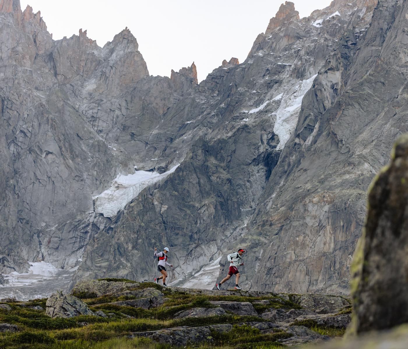 Flextron collage image 2