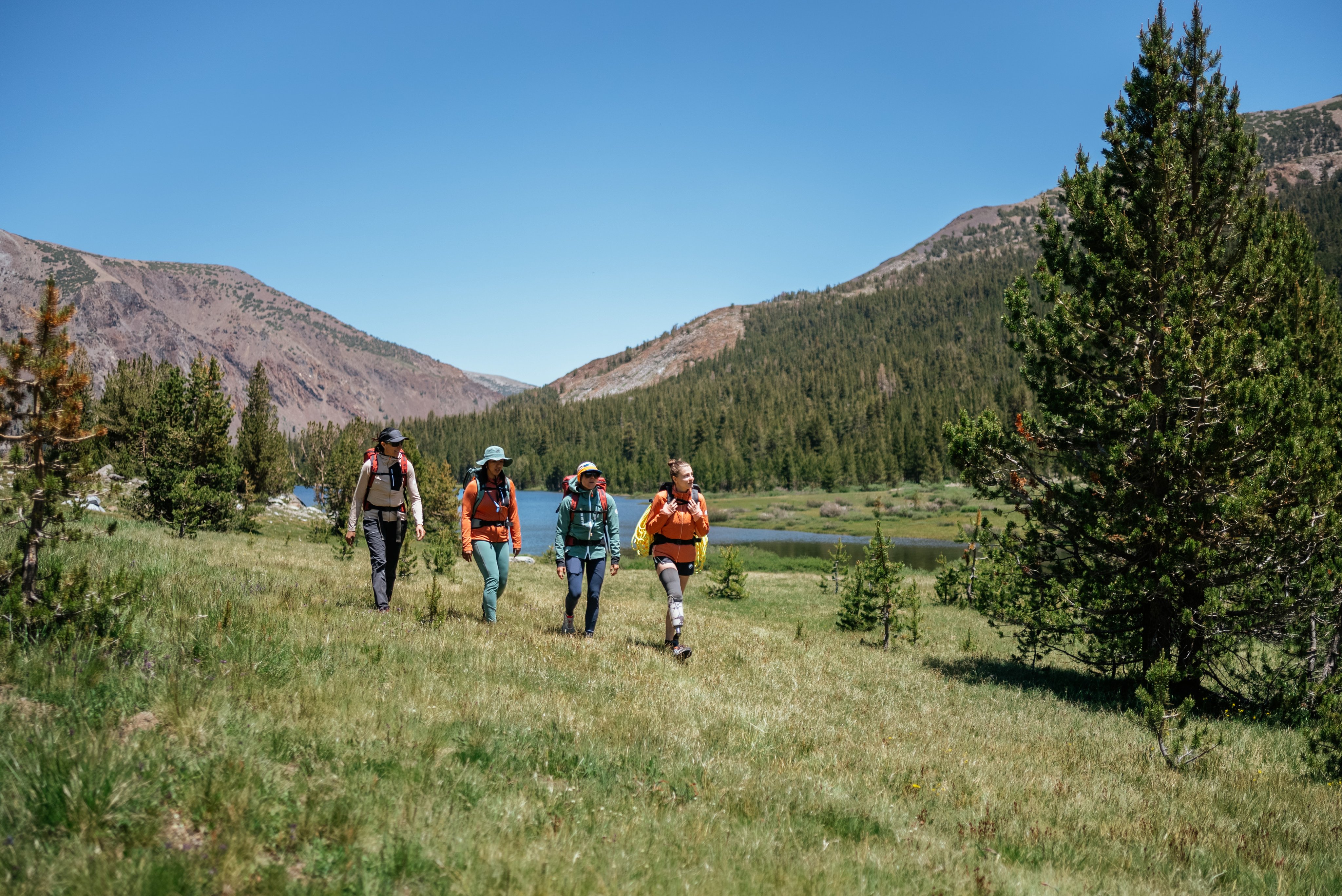 Four hikers wearing Mammut outdoor gear trek through a grassy mountain meadow with scattered trees and distant hills under a clear blue sky.