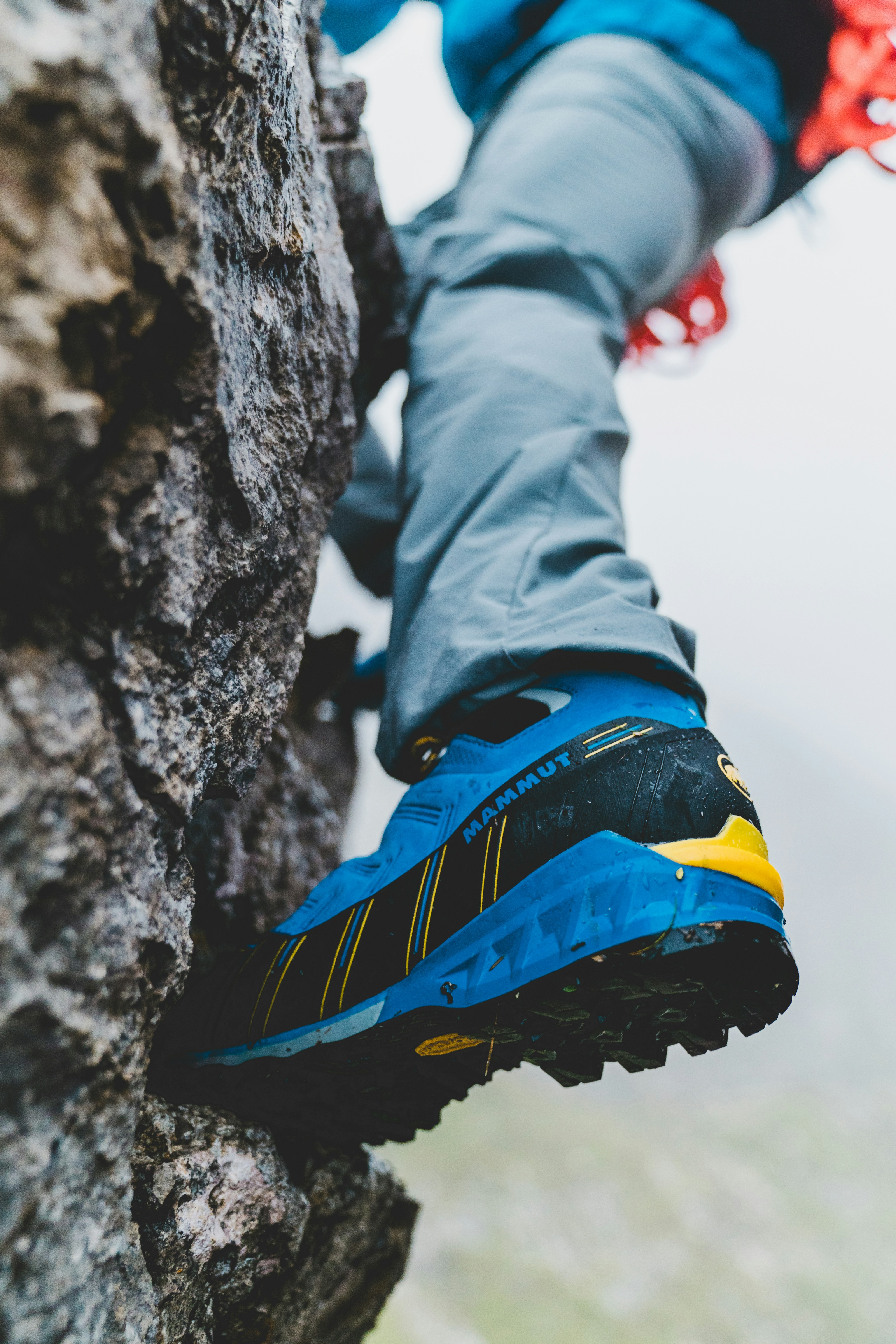 Alpine shoe on a rock.