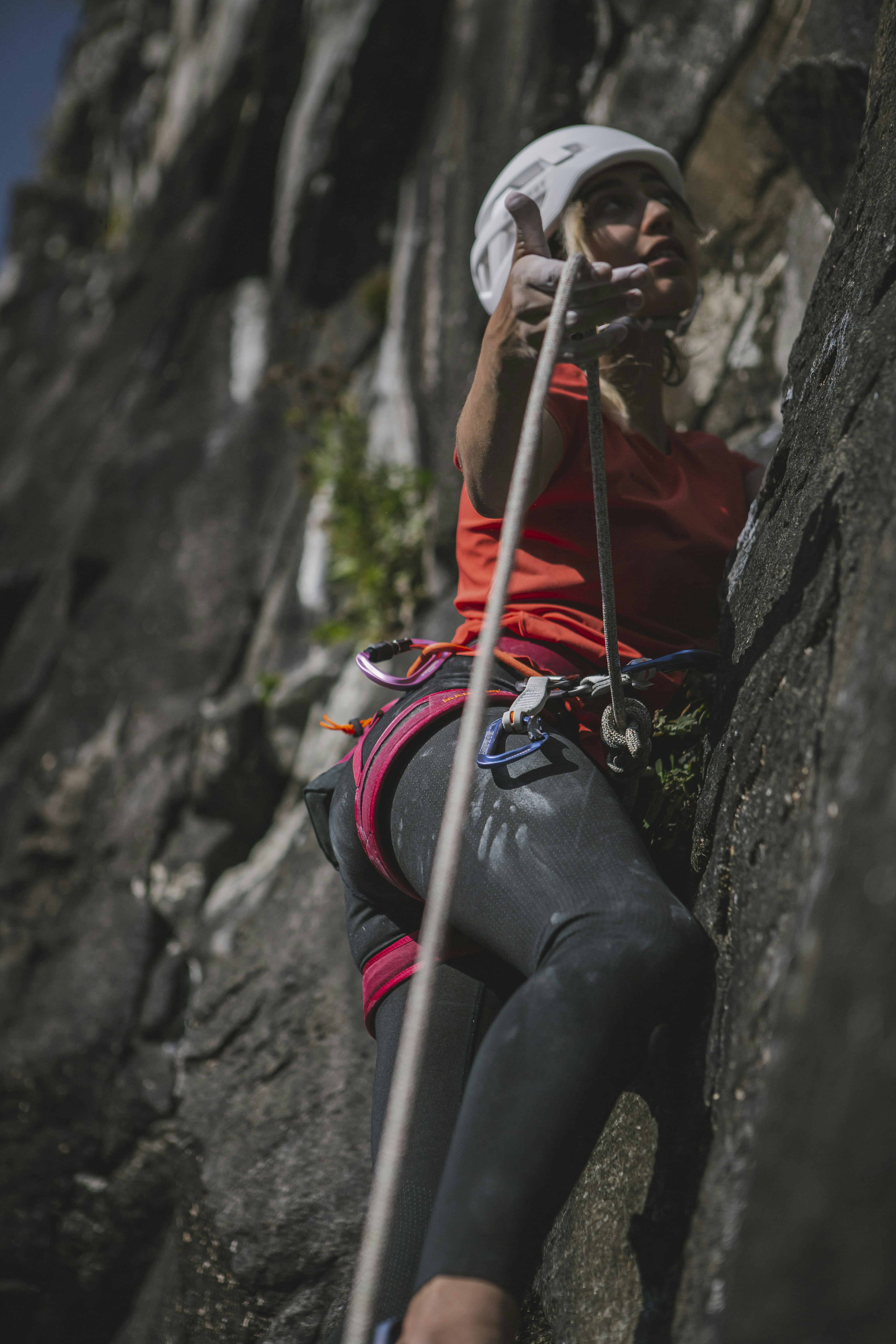 Woman climbs secured on a rock wall.