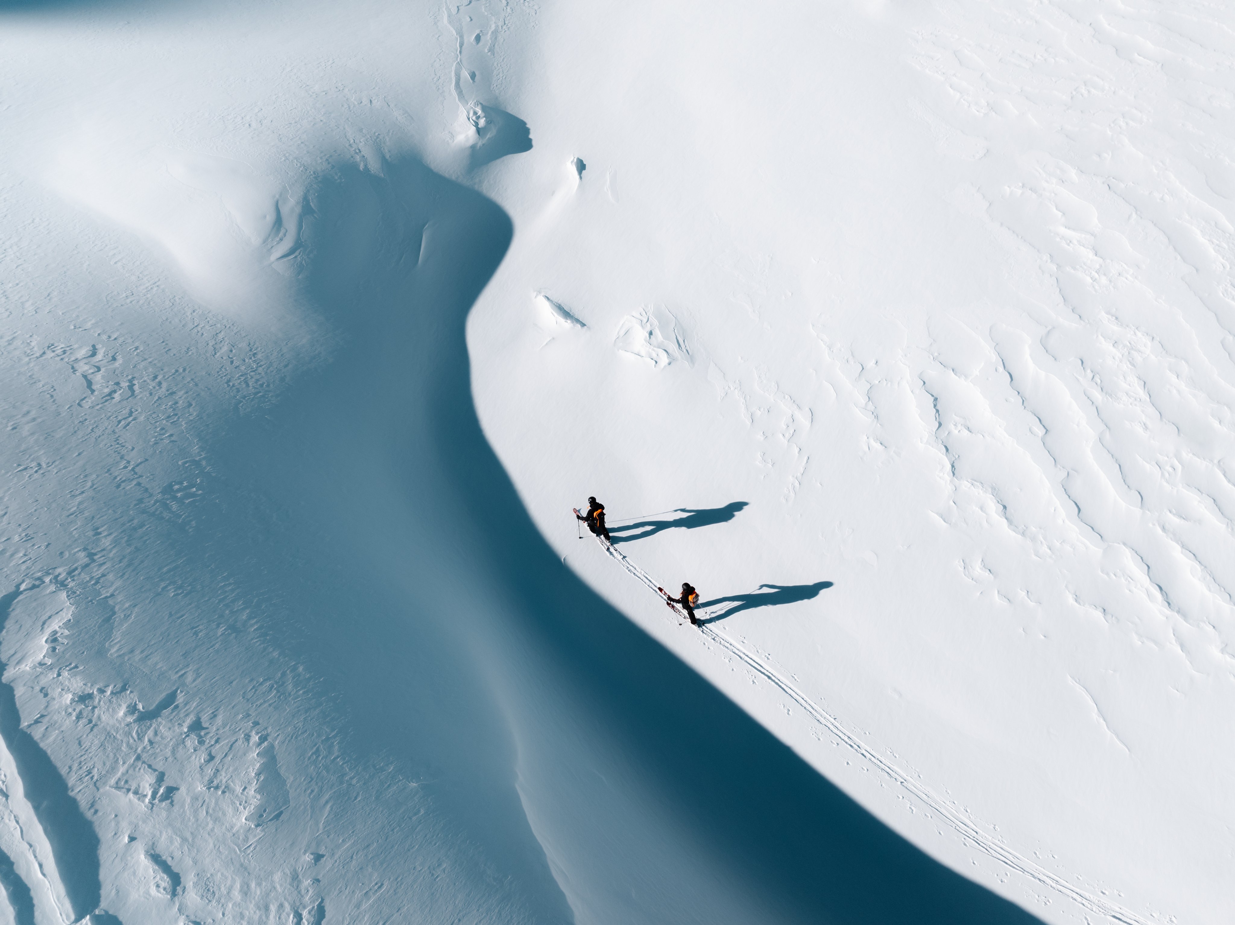 A skier in a Mammut dark jacket and helmet skis downhill through a snowy forest with tall trees, showcasing Mammut winter sports gear in action.