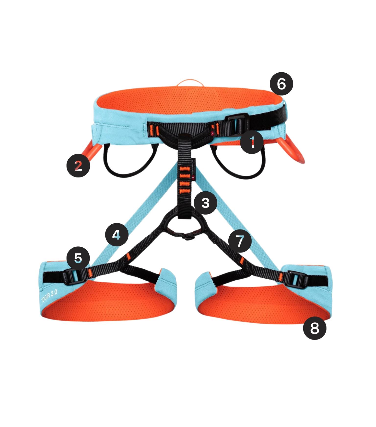 Climbing Harness How to find the right size & fit Mammut
