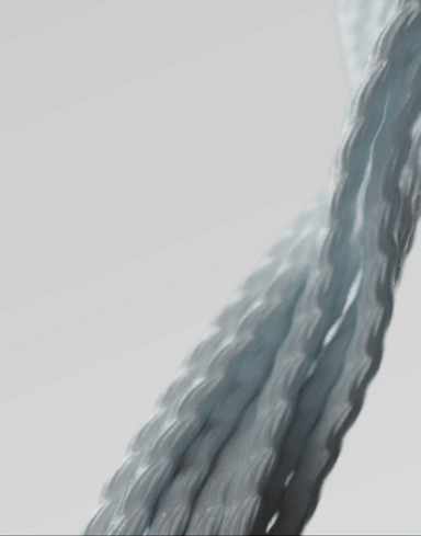 9.5 Alpine Core Protect Dry Rope | Mammut