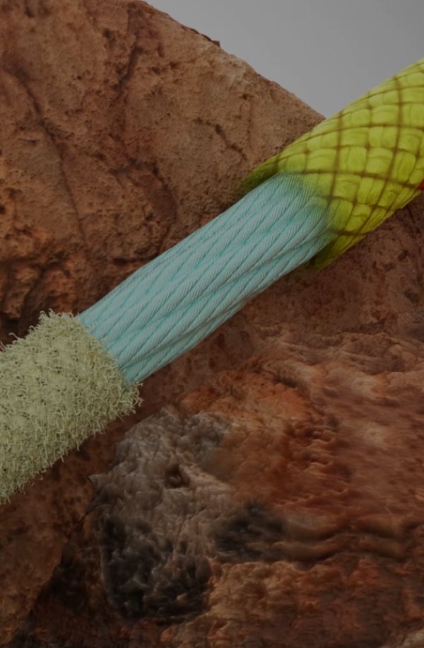 9.5 Alpine Core Protect Dry Rope | Mammut