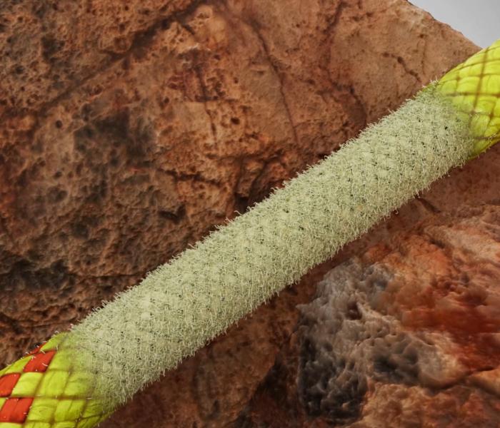 9.5 Alpine Core Protect Dry Rope | Mammut